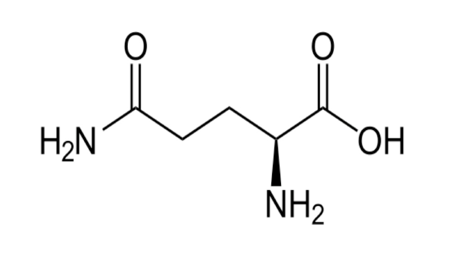 Encapsulated amino acid beadlets and granules